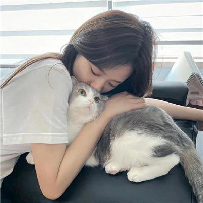 鲁邦三世VS猫眼三姐妹
